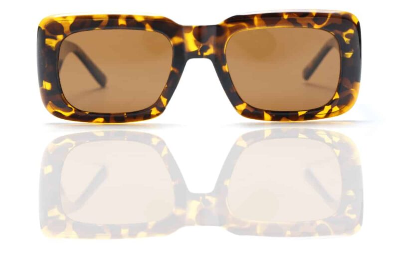 Taniya EP sunglasses